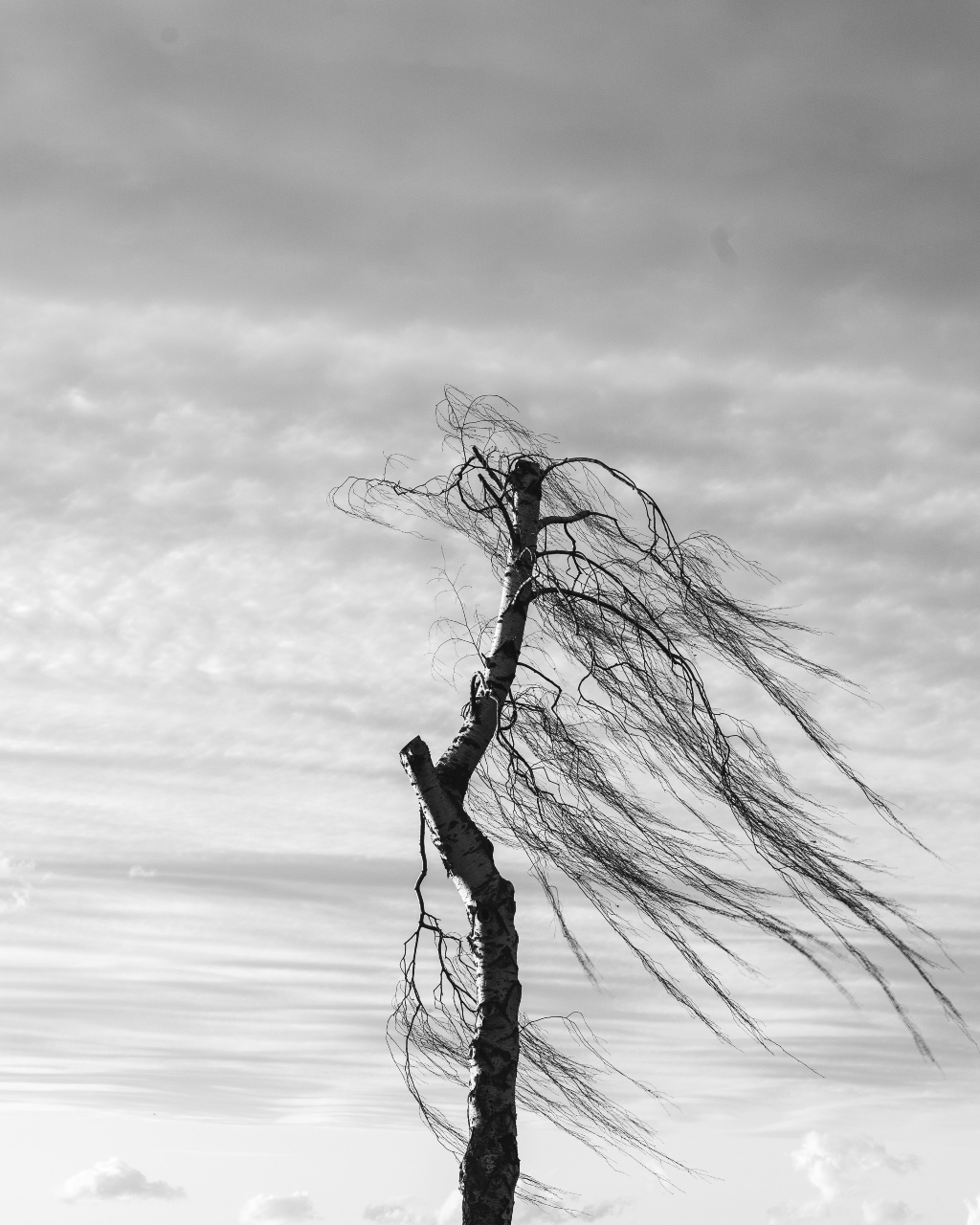 How to sell in a turbulent economy
